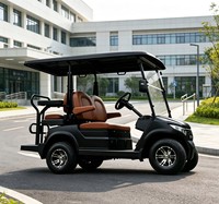Buggy utilitaire électrique à basse vitesse A817.2+2, pour les plages côtières