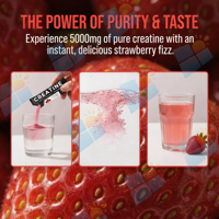 Formule personnalisée OEM/ODM, marque privée, saveur personnalisée, 5000 mg de créatine monohydrate pure, poudre effervescente, complément alimentaire pour la croissance musculaire