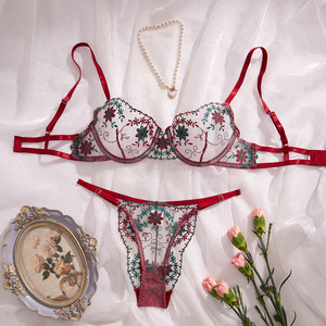 Ensemble de lingerie classique en dentelle brodée, sexy et confortable, deux pièces, vêtements pour femmes - Product Image 6