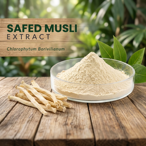Safed Mulsi <b>Root</b> Powder (Chlorophytum borivilianum) Natural Booster Sports Nutrition Herb Bulk OEM India - Product Image 2