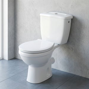 โถสุขภัณฑ์เซรามิกแบบสองชิ้น Aqua พร้อมระบบ S-Trap และ P-Trap แบบ Dual Flush ช่องเติมน้ำด้านข้าง - Product Image 4