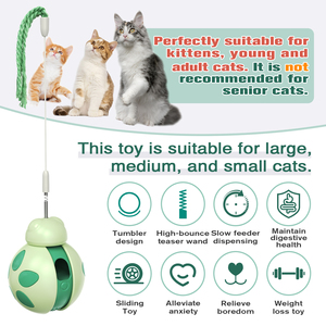 ZMaker New Cat Leaky Food Toys Giratorio <span class=keywords><strong>Catnip</strong></span> Top Feather Balance Car Beetle Cat Juguete interactivo - Product Image 2