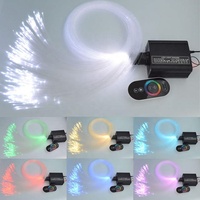 Kit de lampe en fibre optique, lisse sur mesure 1.0mm, moteur de lumière led 2m + 16w avec télécommande pour lampes de piscine, 300 pièces