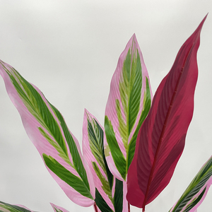 Árbol de Taro artificial casi natural para la decoración de la boda del partido casero Árbol artificial - Product Image 2