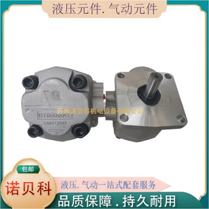 Pompe à engrenages Hsin Hung PR1-060, pompe de surpression électrique, application hydraulique - Product Image 2
