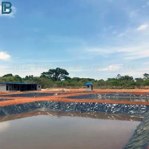 Bán Buôn 0.5Mm 0.75Mm 1Mm 1.5Mm Nước Ao Đập Lót 2Mm Polythene Bãi Rác HDPE Màng Đất - Product Image 4