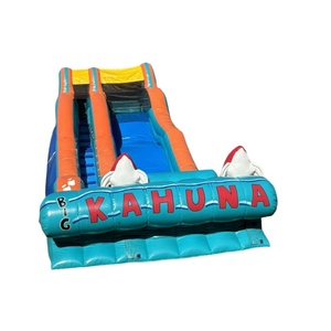 Toboggan gonflable géant commercial à sec, modèle Big Kahuna Red Fishes, pour enfants et adultes, idéal pour le jardin - Vente chaude - Product Image 5