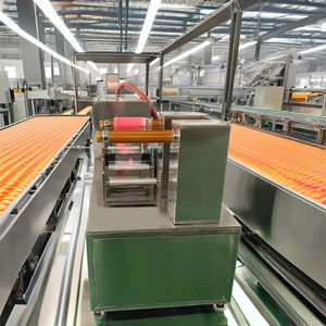 Mesin Pembuat Film Oral <span class=keywords><strong>Tada</strong></span> <span class=keywords><strong>Lafil</strong></span> yang Dapat Melarut di Mulut - Product Image 4