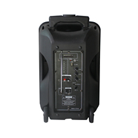 Lecteur karaoké à la mode, haut-parleur Bluetooth sans fil, avec Microphone, grande basse, DJ Portable, nouvelle collection