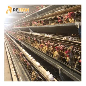 4 Tiers Layer Chicken Egg Cage Battery Cages Poultry Farm Equipment Animal & Poultry Husbandry In Ghana