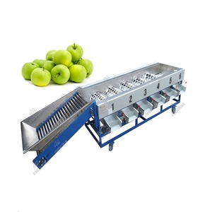 Yüksek Performanslı Elma Yıkama ve Sıralama Makinesi Elma Sıralama Derecelendirme Makinesi - Product Image 1