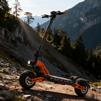 Nouvelle arrivée 52V 3300W Scooter électrique haute puissance hors route Scooter électrique pour les déplacements urbains de montagne adulte