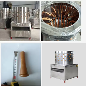 Máquina Desplumadora de Pollos Eléctrica Automática, Equipo para Línea de Sacrificio de Aves de Corral - Product Image 6