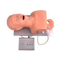 Mannequin d'entraînement pour adultes, modèle pédagogique pour l'étude de l'intubation, simulateur de gestion des voies respiratoires en PVC pour étudiants en sciences médicales