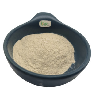 Extrait de Ginseng Américain de Haute Qualité, Ginsénosides Totaux 45%, Ingrédient de Complément Alimentaire à Prix Compétitif - Product Image 6