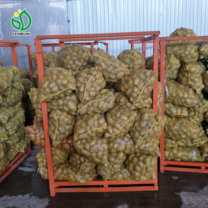 Pommes <span class=keywords><strong>de</strong></span> <span class=keywords><strong>terre</strong></span> fraîches <span class=keywords><strong>de</strong></span> nouvelle récolte, chair jaune vif, sacs en filet <span class=keywords><strong>de</strong></span> 25 kg, <span class=keywords><strong>origine</strong></span> Shandong, export en vrac, stockage frigorifique, durée <span class=keywords><strong>de</strong></span> conservation 1 an - Product Image 6