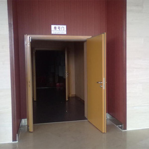 <span class=keywords><strong>Puerta</strong></span> acústica de doble <span class=keywords><strong>puerta</strong></span>, personalizada, de fábrica, para auditorio - Product Image 6