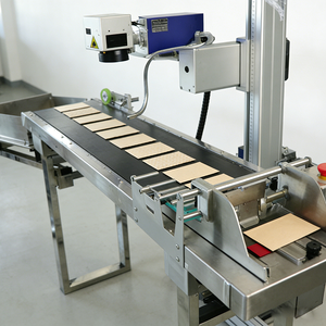 Marcador Láser UV Compacto de Fábrica con Separación Automática y Transporte para Grabar Fecha/Texto/Logotipo en Bolsas de Plástico/Cartones/Tarjetas - Product Image 2