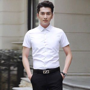 <span class=keywords><strong>Chemise</strong></span> habillée d'été blanche pour <span class=keywords><strong>homme</strong></span>, à manches courtes, infroissable, coupe ajustée, motif uni - Product Image 6