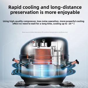 TWW45 Mini taşınabilir 12V AC kompresör araba buzdolabı 24V kapasiteli çift bölge dondurucu pil kumandalı PLA plastik - Product Image 4