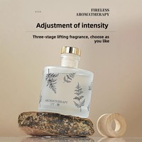 Grand ornement en verre dépoli de 200ml diffuseur de roseaux d'huile essentielle d'aromathérapie sans flamme désodorisant de parfum de longue durée