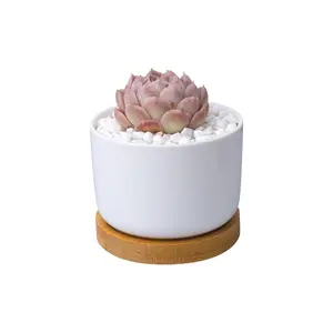 Succulent Pots Fits Larger Variety of Plants Ceramic Flower Planter Pot with Bamboo Tray