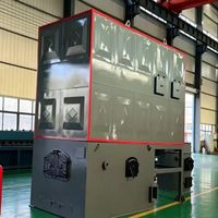 Nueva Caldera Industrial de Aceite Térmico de Alta Temperatura con Rejilla de Cadena Horizontal Serie YLW, de Acero de Bajo Carbono, para Carbón, Biomasa y Cáscara de Arroz