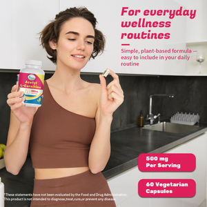 Acetil L-Carnitina OEM ODM 500 mg por Porción, Ayuda al Metabolismo Energético, Mejora la Resistencia y Alivia la Fatiga Post-Entrenamiento - Product Image 3