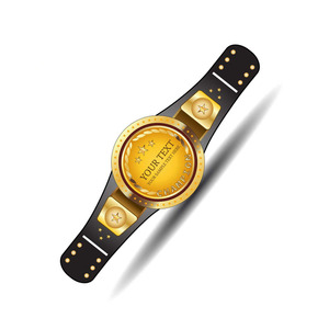 Cinturón de Campeonato Premium al por Mayor con Decoración de Color Sólido, Cinturones de Campeonato Personalizados de Cuero para Torneos de Boxeo - Product Image 4