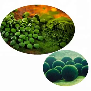 ZD小球藻混合螺旋藻片250mg/500mg定制服务工厂
