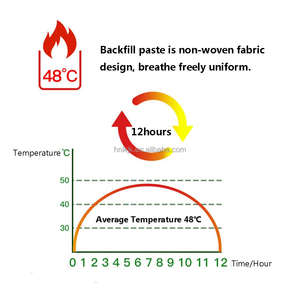 KOYO pereda nyeri tubuh, tambalan herbal Tiongkok anti-air untuk menghilangkan rasa sakit - Product Image 6