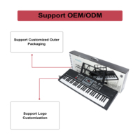 BD MUSIC 61 Lighted Keys Digital Piano Electric Organ Electronic Keyboard Teclado Portable Musical Instruments for Children