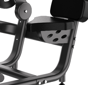 Machine de musculation abdominale et dorsale 2-en-1 pour salle de sport professionnelle – Équipement d'entraînement de la force du tronc – Vente directe usine - Product Image 5