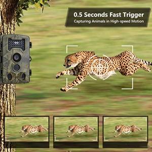Soldes Exceptionnelles : Caméra de Chasse <span class=keywords><strong>Suntekcam</strong></span> HT-2000 1080P 24MP - Product Image 3