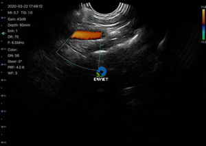 EUR VET saku Wireless USG Probe warna <span class=keywords><strong>Doppler</strong></span> pemindai Ultrasound instrumen medis kualitas bagus - Product Image 5
