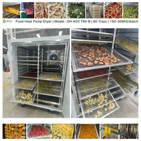 300KG/partij Figuurdroger |   Fruitdroger |   Vijgendroger |   Warmtepompdroger |   Droogmachine voor vijgen
