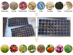 Inne — semoir de légumes automatique, plateau à découper les oignon - Product Image 3