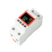 Disjoncteur intelligent Tuya avec mesure, mini 2P 63A, Wi-Fi, protection contre les fuites à la terre, compteur d'énergie, minuterie, pour maison connectée