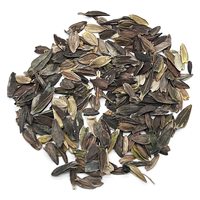 Almanac Premium anti-gmo Zinnia (Dahlia Mix) 200 bunga anggrek terbuka untuk penggunaan dalam ruangan pot bunga lantai