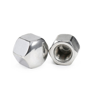 น็อตหกเหลี่ยมหัวโดม DIN 917 เมตริก M3 ถึง M20 สแตนเลส DIN917 - Product Image 3