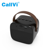 Amplificateur de lecteur de musique Callvi W2 Mini BT haut-parleur de karaoké portable avec microphone portable sans fil