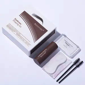 Hot Selling 3 Farben Ibcccndc Eyebrow Stamp Shaping Kit für natürliche 3D wilde Augenbrauen