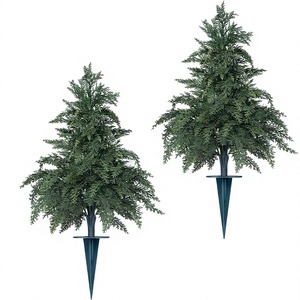 Bloomique - Lot de 2 - Phoenix canariensis - Palmier d'île de la Réunion - Perpétuaire - Chine - Plantes d'extérieur résistantes <span class=keywords><strong>pour</strong></span> <span class=keywords><strong>balcon</strong></span> - Hauteur 50-70 cm - Pot 15 cm - Product Image 4