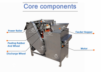 Chine éplucheur d'arachide peau de soja machine à éplucher les arachides petite machine à éplucher les amandes humides machine à éplucher les pistaches