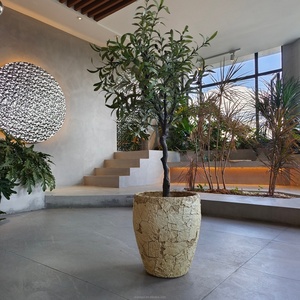 Elegant Modern Durable Fiber <b>Clay</b> Flower <b>Pots</b> Drainage Hole Eco-Friendly Biodegradable Lightweight Indoor Outdoor Exhibition Use - Product Image 5