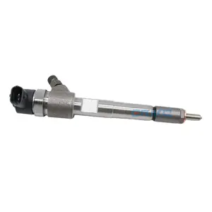 Erikc Nozzles 0445 110 746 Injector Nozzles 0 445 110 746 Dieselmotoren Injectie 0445110746 Nozzles