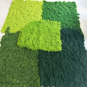 Serie di Erba Artificiale per Interni con Effetto Muschio, Serie per Paesaggistica di Finestre, Pannelli di Piante Verdi Artificiali - Product Image 2