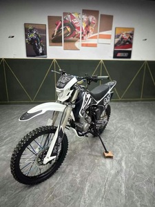 Motos tout-terrain d'<span class=keywords><strong>occasion</strong></span> populaires Zhanfu 250cc à essence, 200-400CC >80km/h - Product Image 6