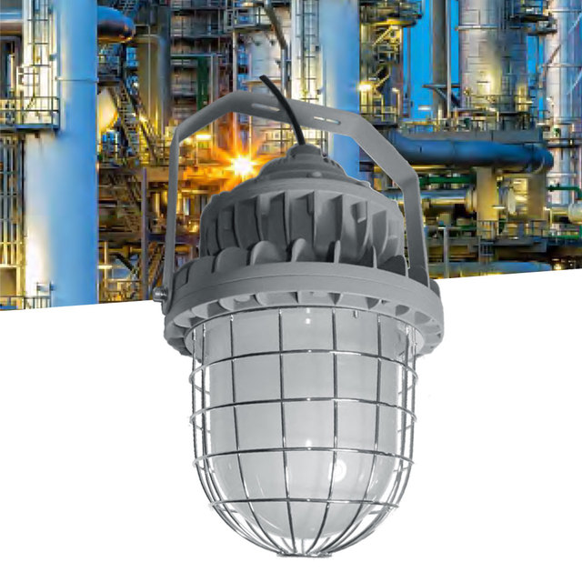 BBIER IP66 20W 40W 60W for Aluminum Alloy Stainless Steel Protective Cover LED Explosion Proof Light