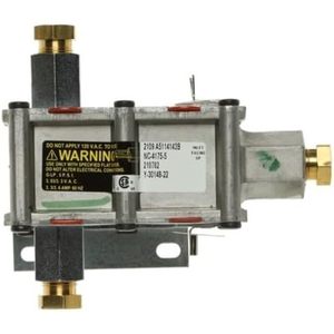 Válvula de Gas Térmica Doble Fisher & Paykel, Entrada Roscada de 1 Pulgada, Acero Inoxidable, Materiales de Alta Calidad, Repuestos para Calentadores Domésticos - Product Image 2